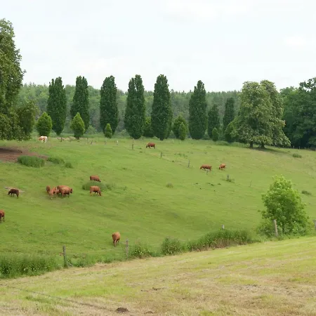 Spacious Holiday In Landau Near Lake * Bad Arolsen